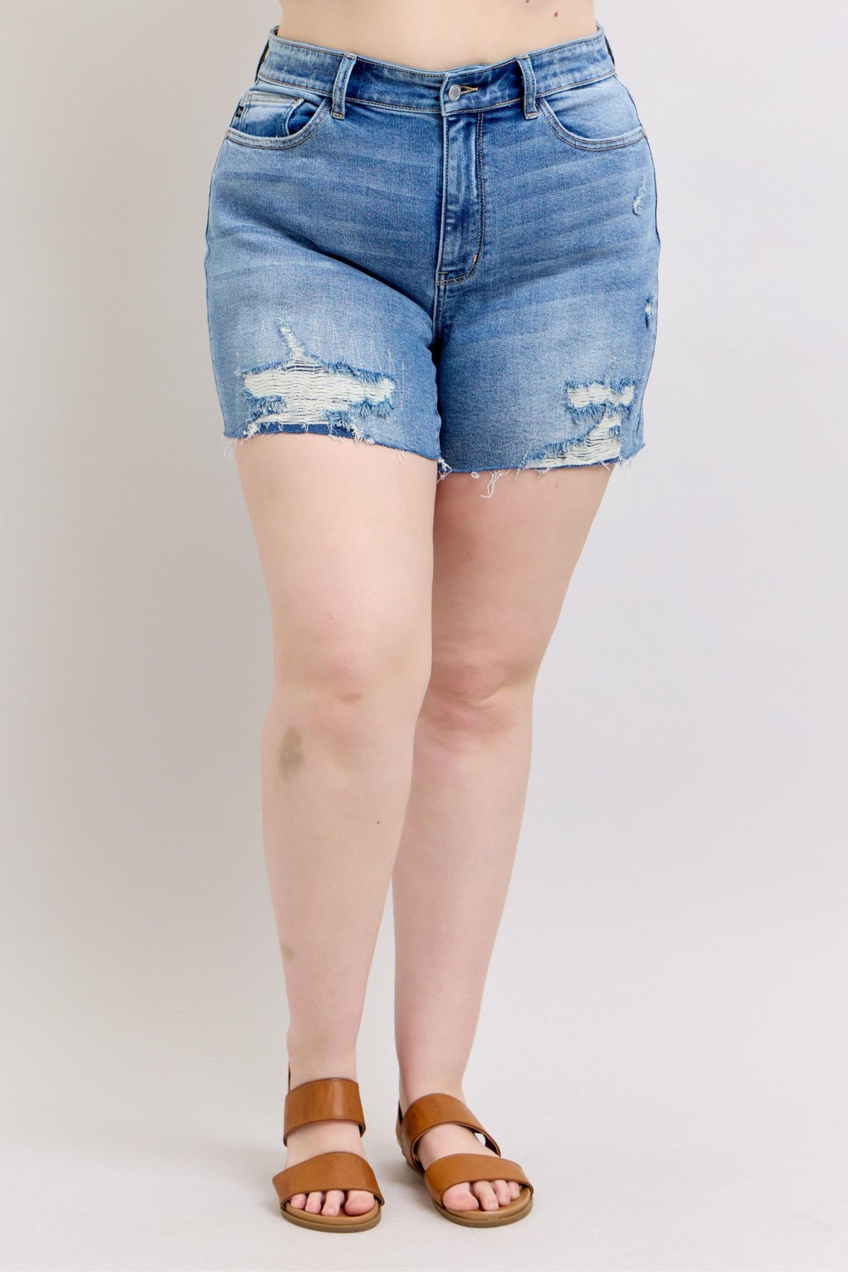 Judy Blue | Charley High Rise Distressed Cutoff Shorts